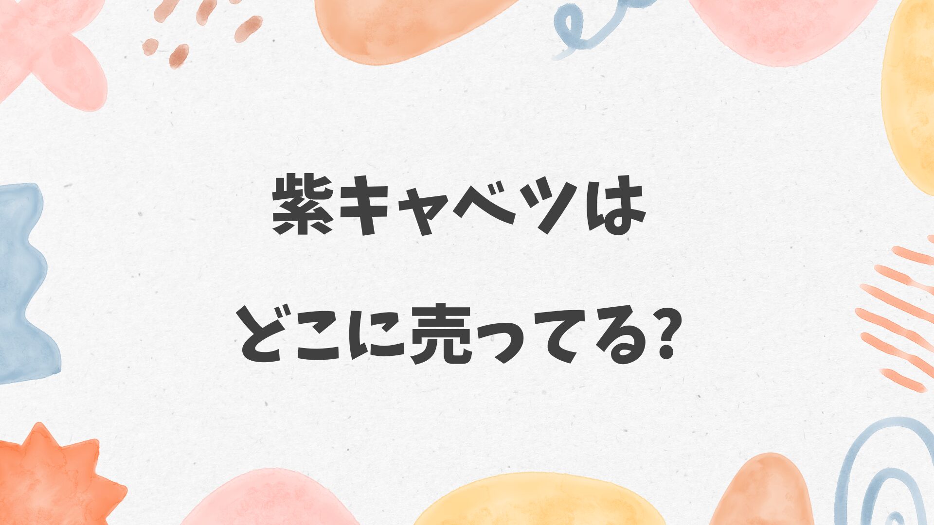 紫キャベツはどこに売ってる